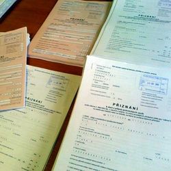    :   , Business Services
